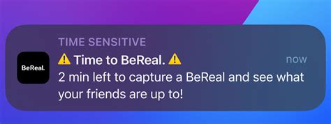 bereal not sending notification|BeReal – BeReal Help Center